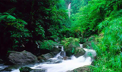 Dominica
